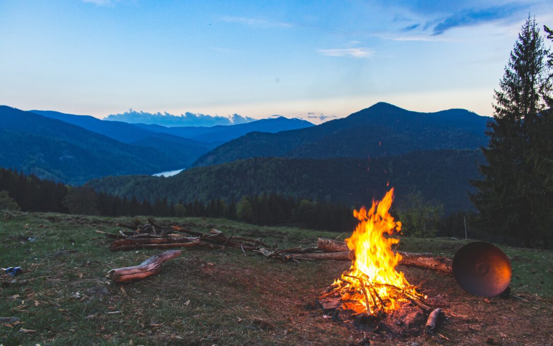 Camping przyjazdy środowisku