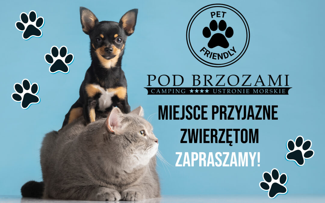 pod brzozami pet friendly