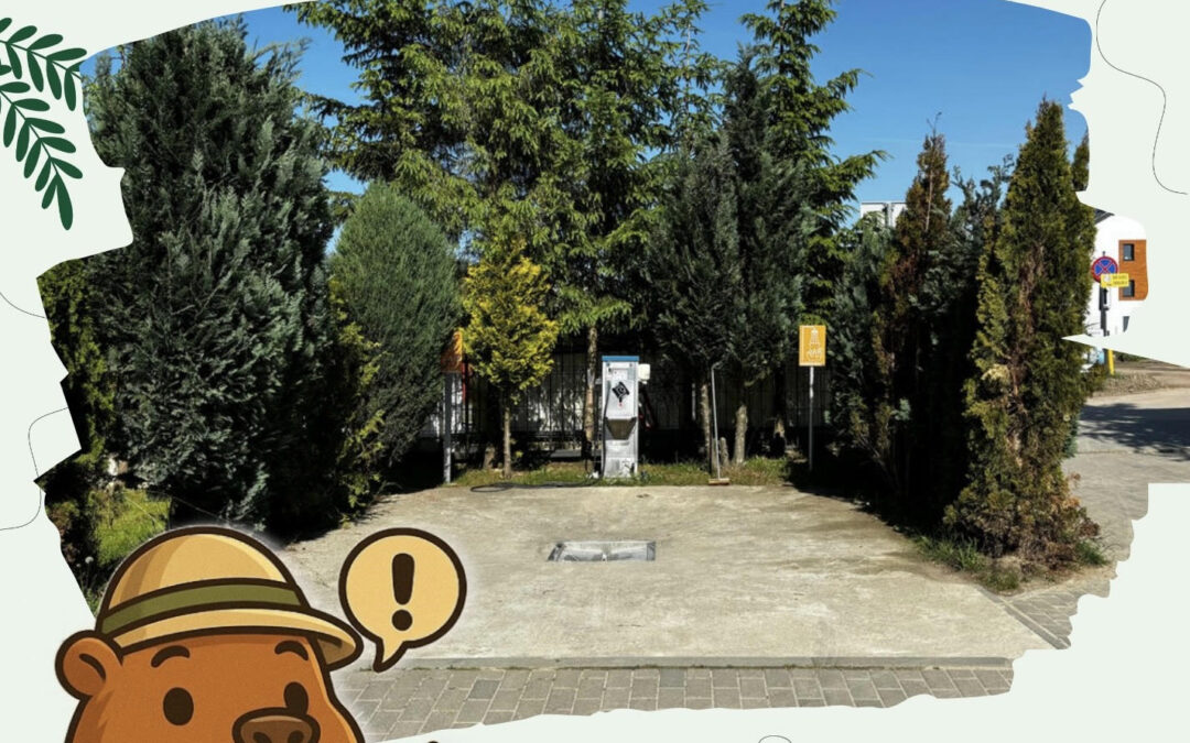 zrzut nieczystosci camping