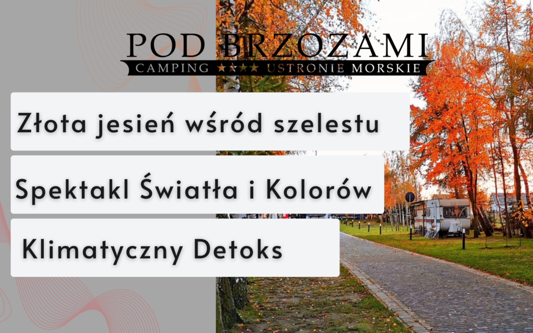 Złota jesień wśród szelestu brzóz
