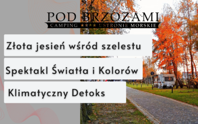 Złota jesień wśród szelestu brzóz
