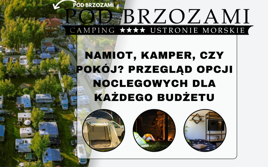 camping pod brzozami