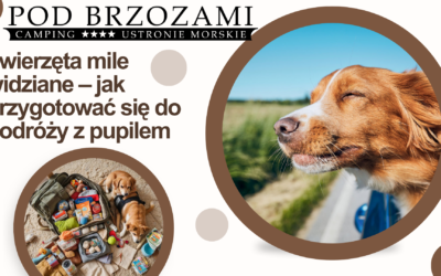 Zwierzęta mile widziane
