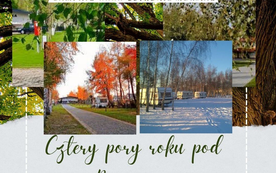 camping caloroczny