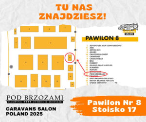 pod brzozami camping