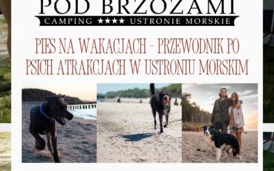 Pies na wakacjach – przewodnik po psich atrakcjach w Ustroniu Morskim