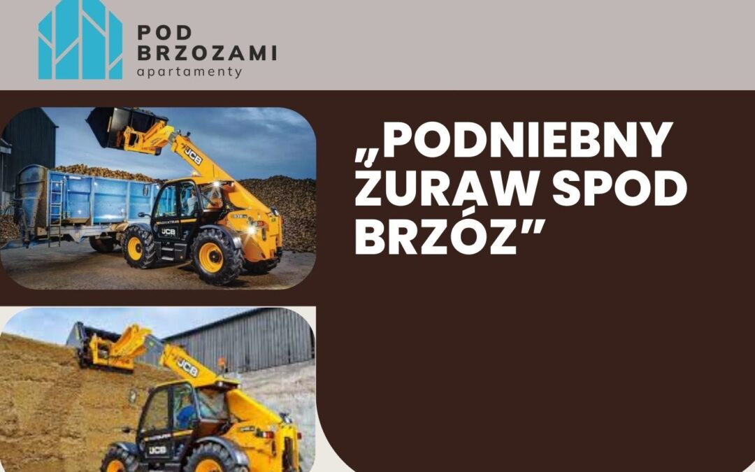 ladowarka teleskopowa