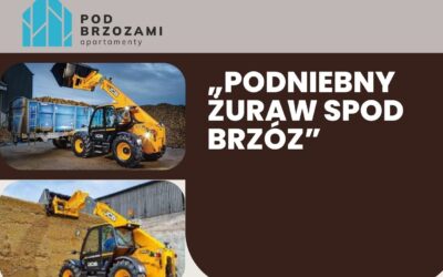 „Podniebny Żuraw spod Brzóz” – Niepowtarzalna Siła w Regionie