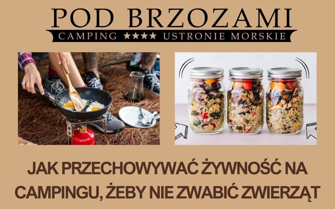 Jak przechowywać żywność na campingu, żeby nie zwabić zwierząt?
