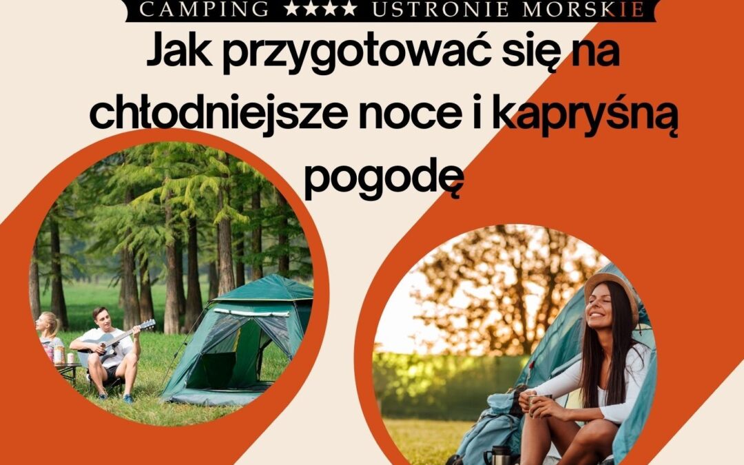 camping pod brzozami